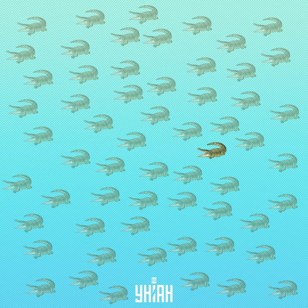 See oleks pidanud leiduma keskele lähemal, paremal pool / Moje Collage