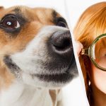 Ainult tõeline IQ-tiitan näeb 10 sekundiga lumes koera: hingemattev optiline